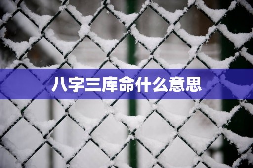 八字三库命什么意思