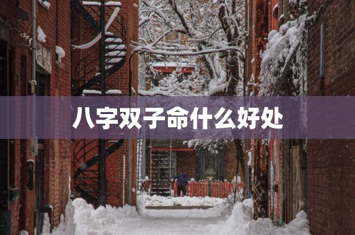 八字双子命什么好处