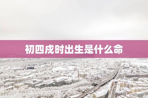 初四戍时出生是什么命