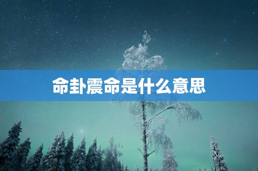 命卦震命是什么意思