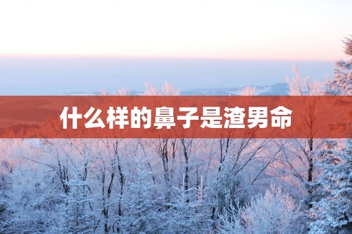 什么样的鼻子是渣男命