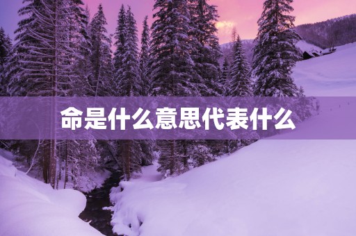命是什么意思代表什么