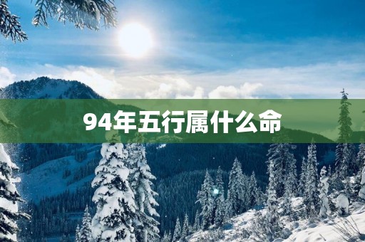 94年五行属什么命