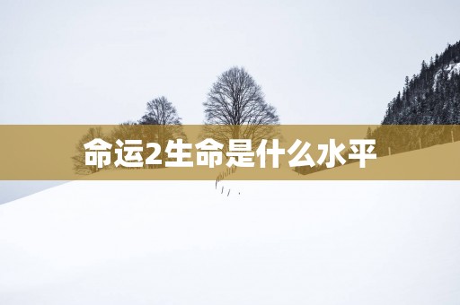 命运2生命是什么水平