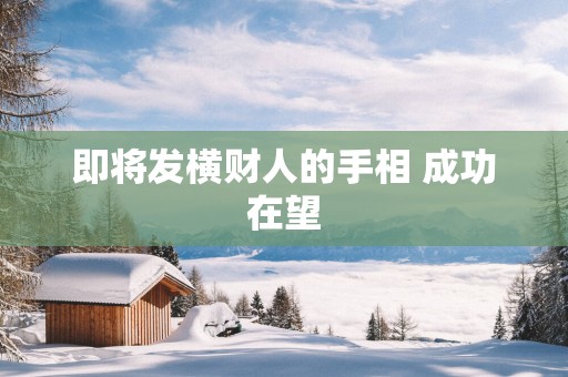即将发横财人的手相 成功在望