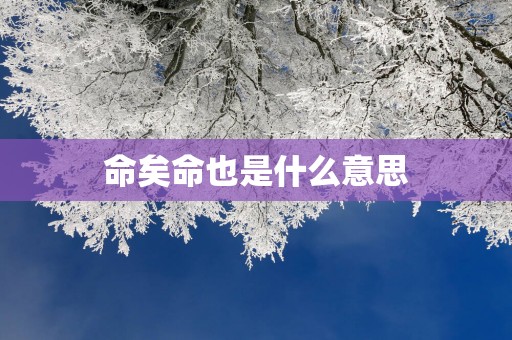 命矣命也是什么意思