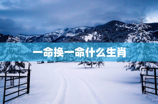 一命换一命什么生肖