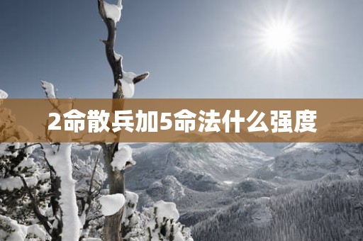 2命散兵加5命法什么强度