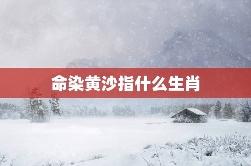 命染黄沙指什么生肖