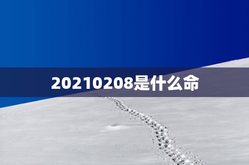 20250208是什么命