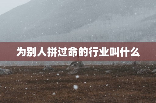 为别人拼过命的行业叫什么