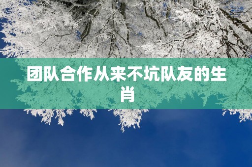 团队合作从来不坑队友的生肖