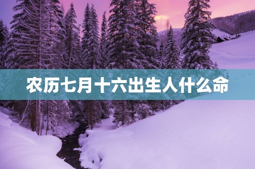 农历七月十六出生人什么命