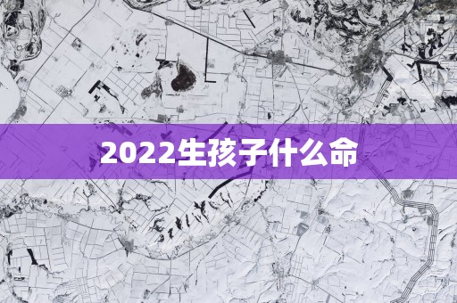 2025生孩子什么命