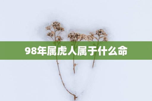 98年属虎人属于什么命