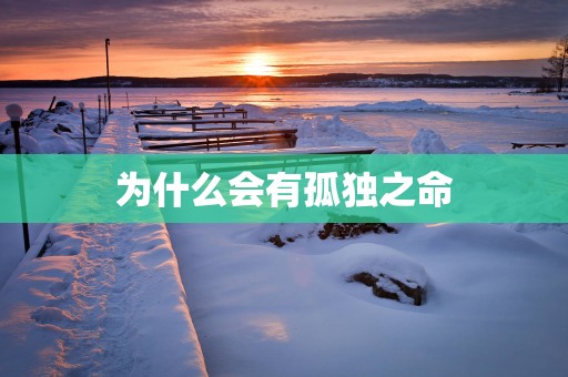 为什么会有孤独之命