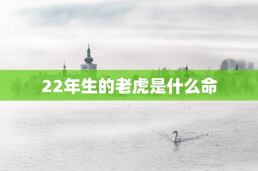 22年生的老虎是什么命