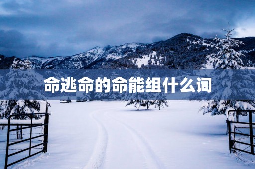 命逃命的命能组什么词