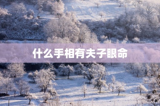 什么手相有夫子眼命