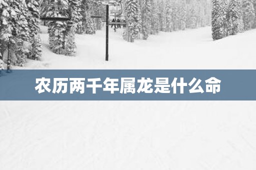 农历两千年属龙是什么命