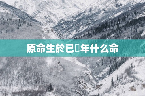 原命生於已邜年什么命