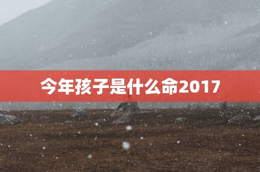 今年孩子是什么命2017