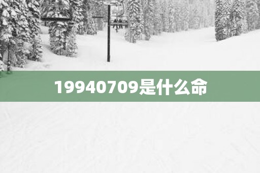19940709是什么命
