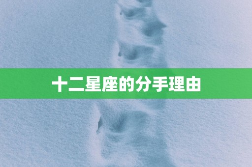 十二星座的分手理由