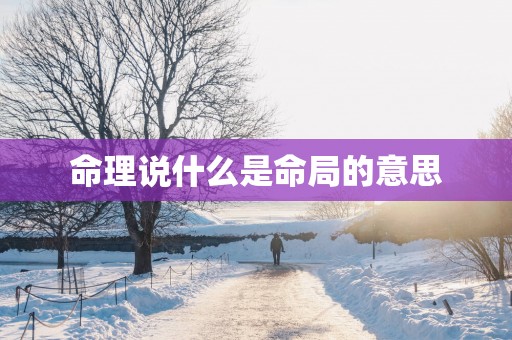 命理说什么是命局的意思