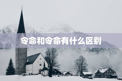 令命和令命有什么区别
