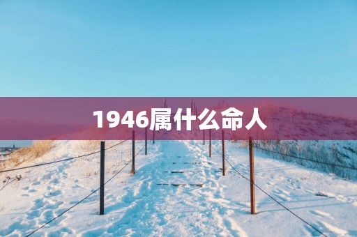 1946属什么命人