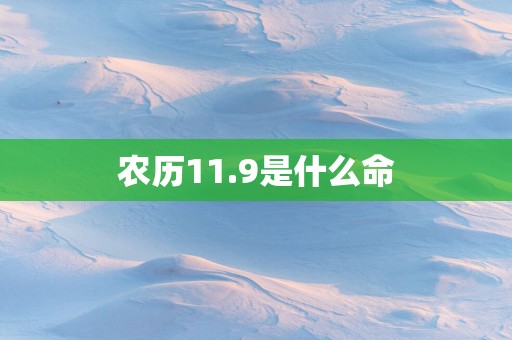 农历11.9是什么命