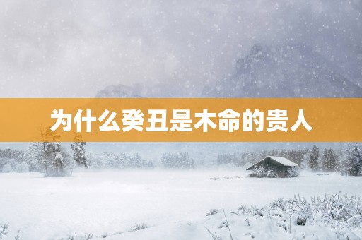 为什么癸丑是木命的贵人
