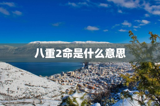 八重2命是什么意思
