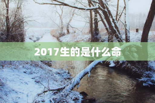 2017生的是什么命