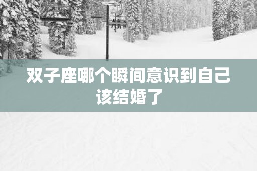 双子座哪个瞬间意识到自己该结婚了