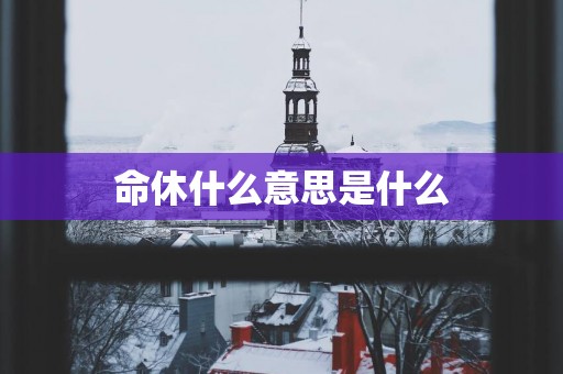 命休什么意思是什么