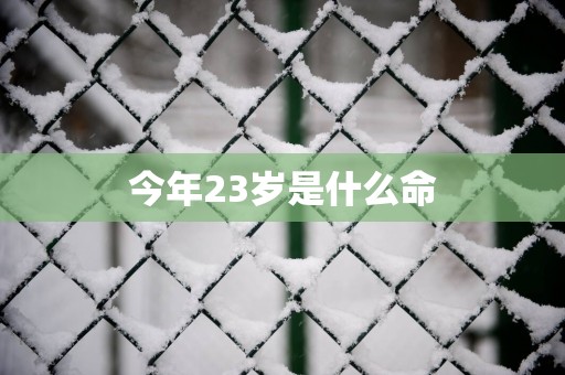 今年23岁是什么命