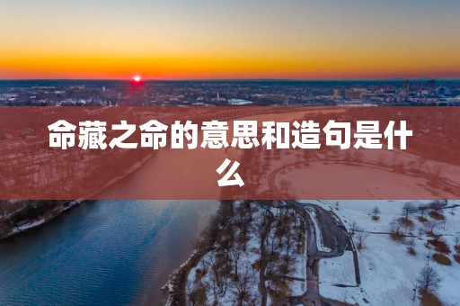 命藏之命的意思和造句是什么