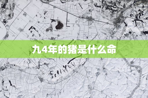 九4年的猪是什么命