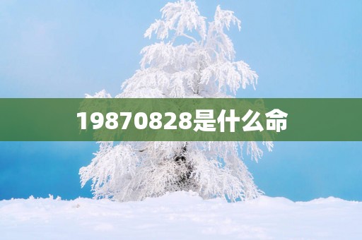 19870828是什么命