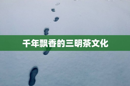 千年飘香的三明茶文化