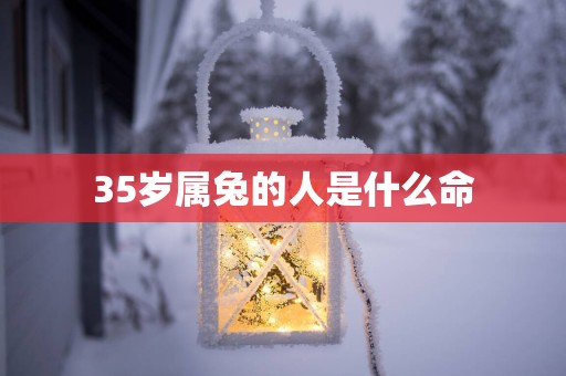 35岁属兔的人是什么命