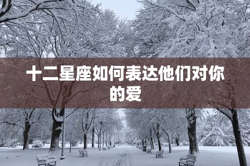 十二星座如何表达他们对你的爱