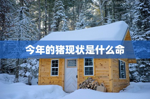 今年的猪现状是什么命