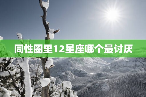 同性圈里12星座哪个最讨厌