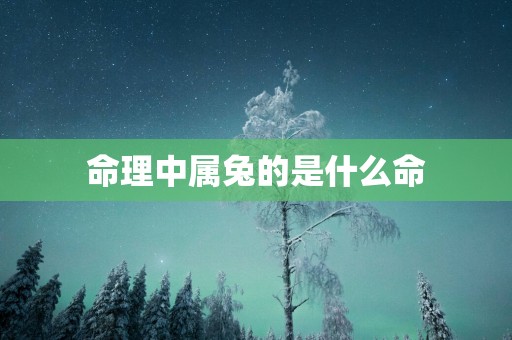 命理中属兔的是什么命