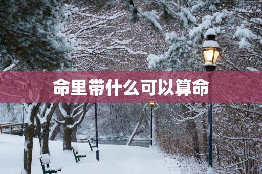 命里带什么可以算命