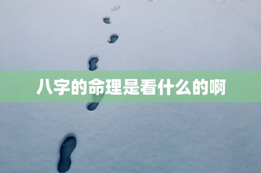 八字的命理是看什么的啊