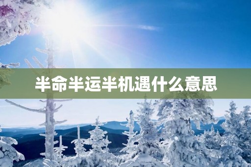 半命半运半机遇什么意思